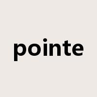pointe是什么意思