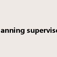 planning supervisor是什么意思