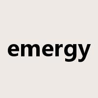 emergy是什么意思