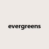 evergreens是什么意思