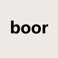 boor是什么意思