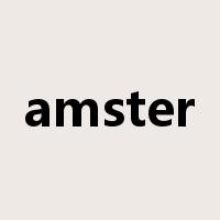 amster是什么意思