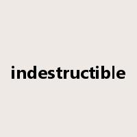 indestructible是什么意思