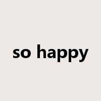 so happy是什么意思