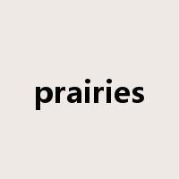 prairies是什么意思