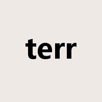 terr是什么意思