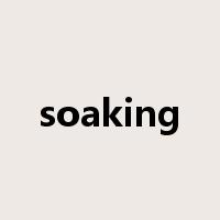 soaking是什么意思