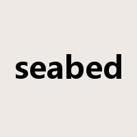 seabed是什么意思