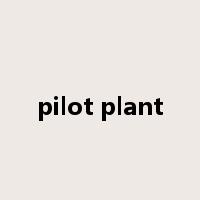 pilot plant是什么意思