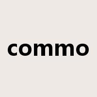 commo是什么意思