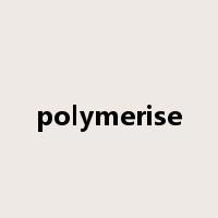 polymerise是什么意思