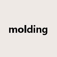 molding是什么意思