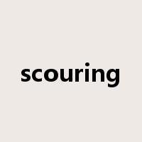 scouring是什么意思