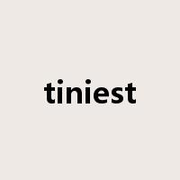 tiniest是什么意思
