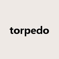 torpedo是什么意思