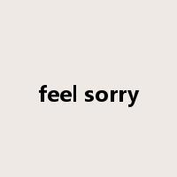 feel sorry是什么意思