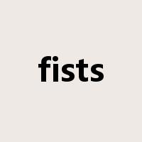 fists是什么意思