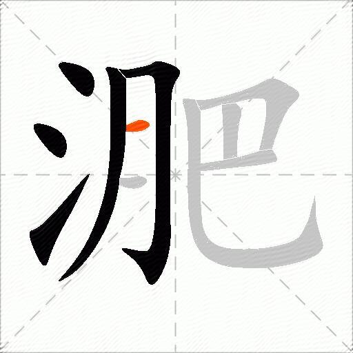 淝