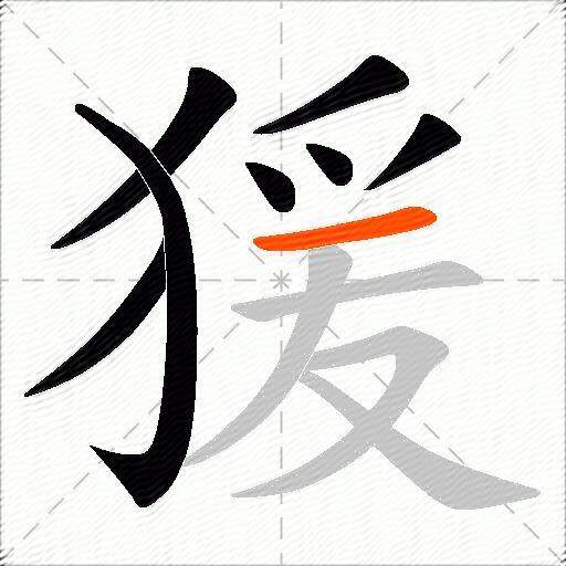 猨