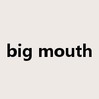 big mouth是什么意思