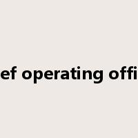 chief operating officer是什么意思