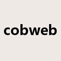 cobweb是什么意思