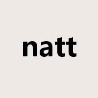 natt是什么意思