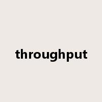 throughput是什么意思