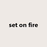 set on fire是什么意思