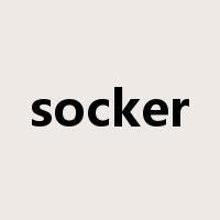 socker是什么意思