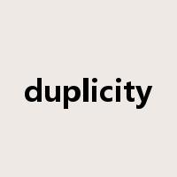 duplicity是什么意思