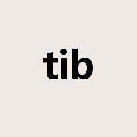 tib是什么意思