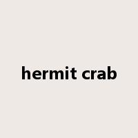 hermit crab是什么意思