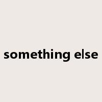 something else是什么意思