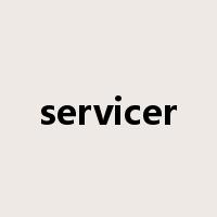 servicer是什么意思