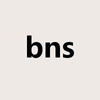bns是什么意思