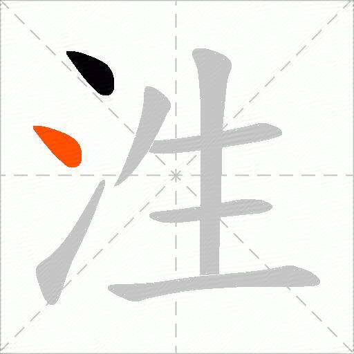 泩