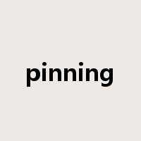 pinning是什么意思