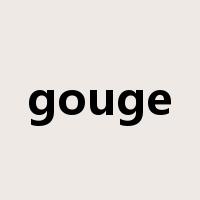gouge是什么意思