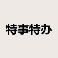 特事特办是什么意思