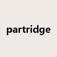 partridge是什么意思