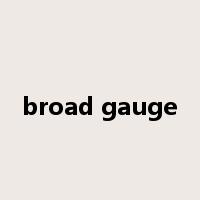 broad gauge是什么意思