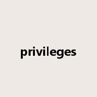 privileges是什么意思