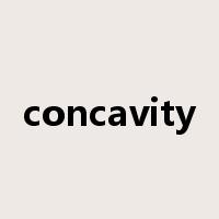 concavity是什么意思