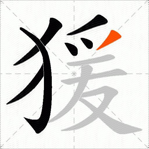 猨