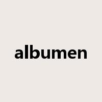 albumen是什么意思