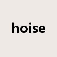 hoise是什么意思