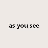 as you see是什么意思