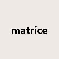 matrice是什么意思