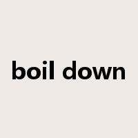 boil down是什么意思